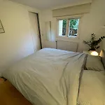 Omheind Natuurhuisje, Prive En Licht, Veluwe, Naast Het Bos, Zeer Rustig * Voorthuizen