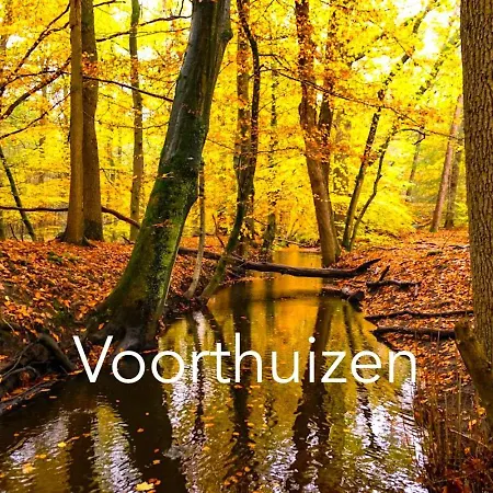 Omheind Natuurhuisje, Prive En Licht, Veluwe, Naast Het Bos, Zeer Rustig * Voorthuizen