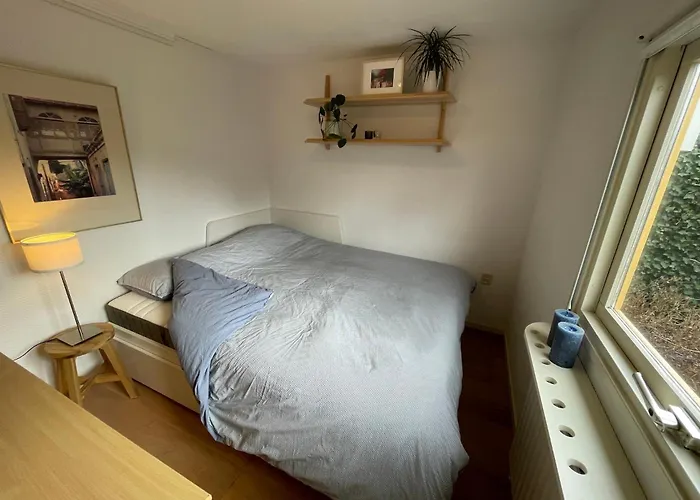 Omheind Natuurhuisje, Prive En Licht, Veluwe, Naast Het Bos, Zeer Rustig Feriehus *