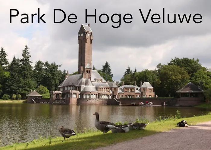 Feriehus Omheind Natuurhuisje, Prive En Licht, Veluwe, Naast Het Bos, Zeer Rustig *