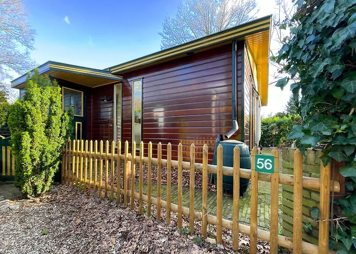 Omheind Natuurhuisje, Prive En Licht, Veluwe, Naast Het Bos, Zeer Rustig Feriehus *