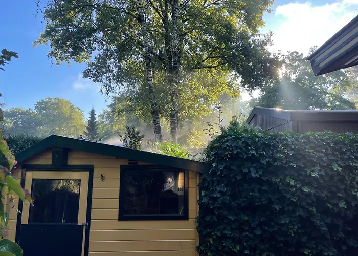 Omheind Natuurhuisje, Prive En Licht, Veluwe, Naast Het Bos, Zeer Rustig Feriehus