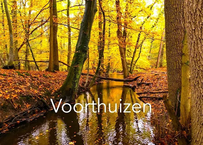 Omheind Natuurhuisje, Prive En Licht, Veluwe, Naast Het Bos, Zeer Rustig * Voorthuizen