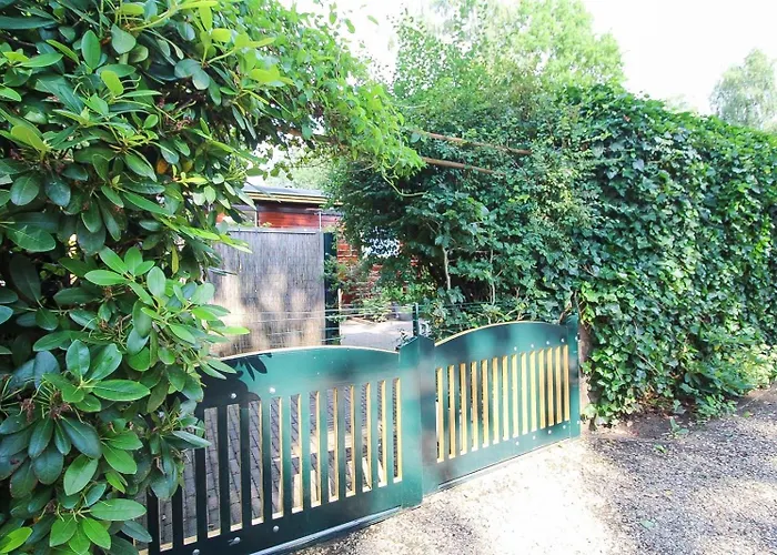 Omheind Natuurhuisje, Prive En Licht, Veluwe, Naast Het Bos, Zeer Rustig